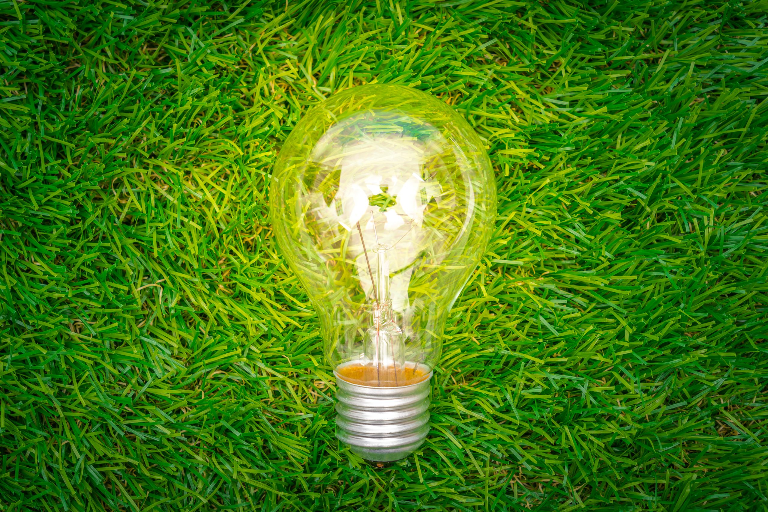 renewable energy